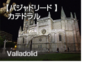 【バジャドリード 】  カテドラル